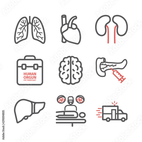 Organ transplantation line icons set. Vector signs for web graphics.