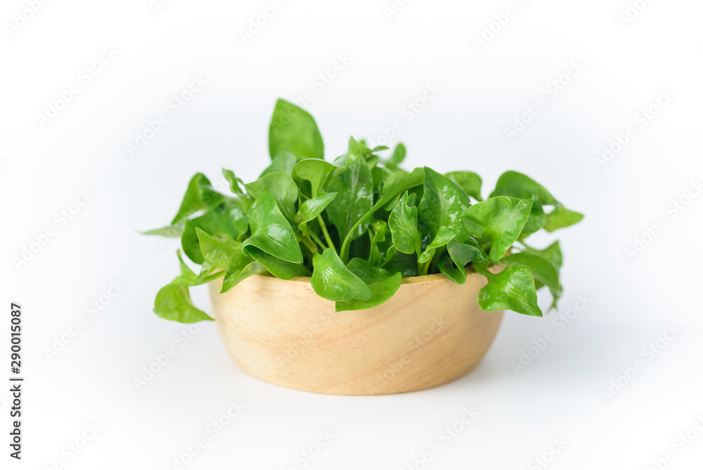 Fresh watercress in a bowl on white background Fresh watercress in a bowl on white background