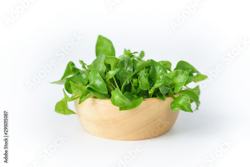 Fresh watercress in a bowl on white background