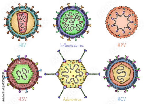 Set of different viruses in hand drawn style. Color diagrams showing the structure of viruses. Vector illustration isolated on white background for medical info graphics