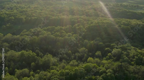 Aerial vertical tilt reveal of the sunset in a thick forest in Wisconsin. Golden hour rising reveal of this beautiful sunset in the mountains of Wisconsin near Dodgeville. photo