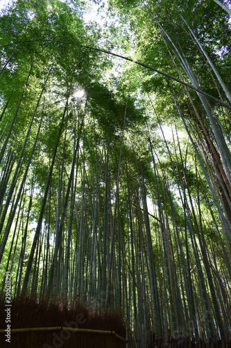 Kyoto