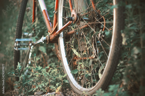 An old red Bicycle, which has not been ridden for a long time, stands overgrown with thick grass in the summer in the forest. photo