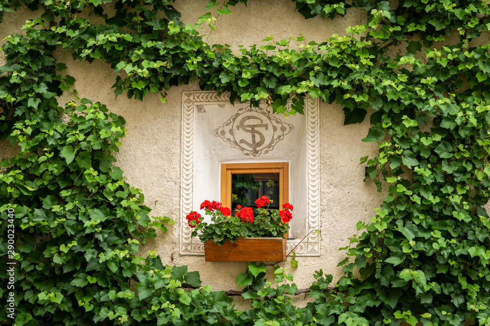 Red flowers in front of a small window of a very old house in Glurns