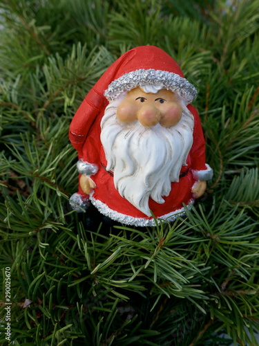 Santa Claus in the fir forest. A little garden gnome in Santa Claus costume hides in the forest between pine branches.