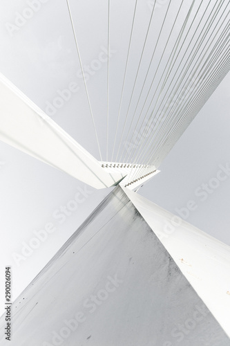 Erasmus Bridge