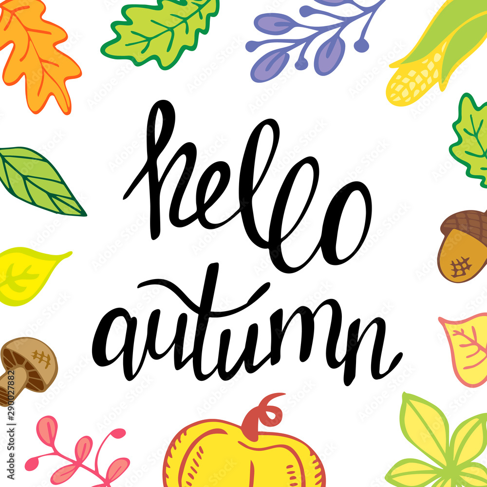 Hello autumn. Banner template, greeting card with vector illustrations and handwritten lettering. Fall season and harvest festival. Colorful invitation with leaves and harvest. 