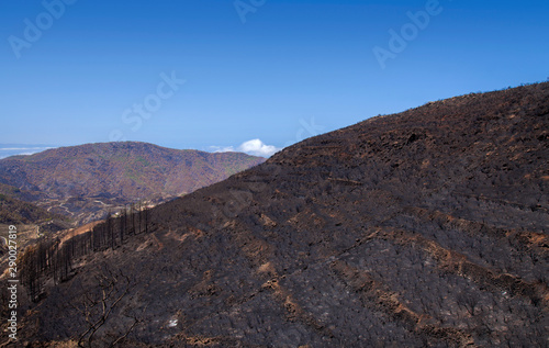 Gran Canaria after wild fire