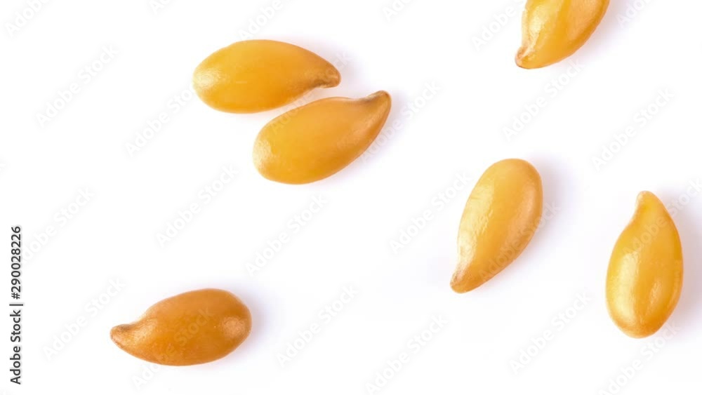 panning flax seeds isolated on white background. top view panning flax seeds isolated on white background. top view