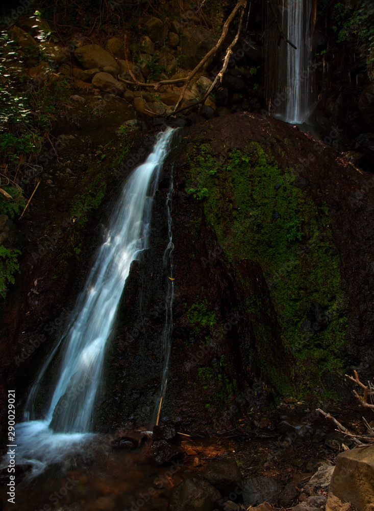 Obraz premium Gran Canaria, Barranco de los Cernicalos