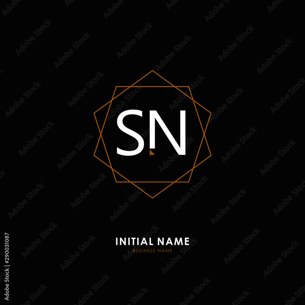 S N SN Initial logo letter with minimalist concept. Vector with scandinavian style logo. S N SN Initial logo letter with minimalist concept. Vector with scandinavian style logo.
