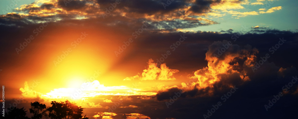 Fototapeta premium bright golden sunset
