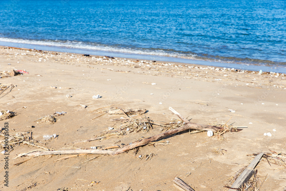 自然災害 台風後 浜辺に打ち上げられた流木 Stock 写真 Adobe Stock 自然災害 台風後 浜辺に打ち上げられた流木 Stock 写真 Adobe Stock
