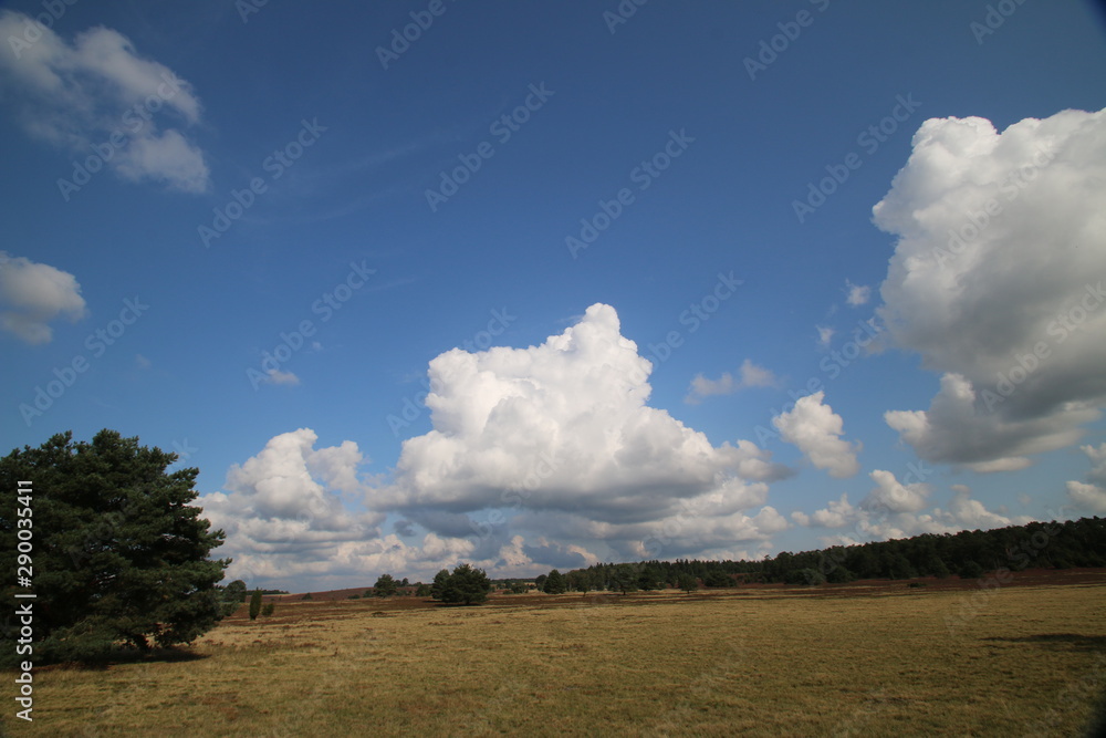 Außergewöhnlich, schöne Wolkenformationen über der blühenden Heidelandschaft Außergewöhnlich, schöne Wolkenformationen über der blühenden Heidelandschaft