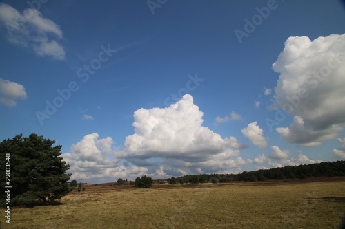 Au  ergew  hnlich  sch  ne Wolkenformationen   ber der bl  henden Heidelandschaft