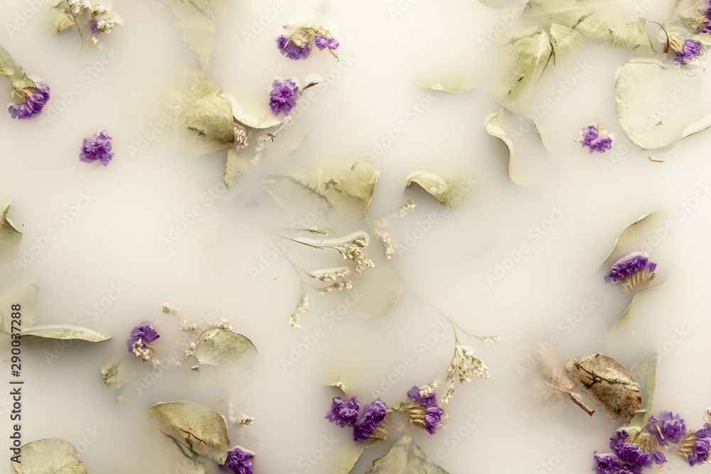 Flat lay purple flowers in white water Flat lay purple flowers in white water