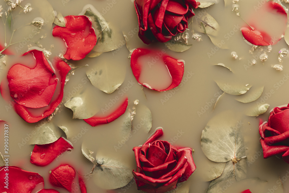 Flat lay red roses and petals in brown colored water Flat lay red roses and petals in brown colored water