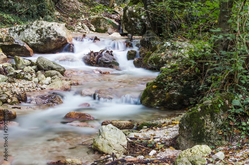 stream in the forest