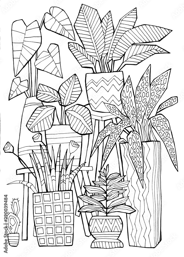 Naklejka Flowers at home, pots with plants. Winter Garden. Hand drawing coloring book for children and adults. Beautiful drawings with patterns and small details. One of a series of painted pictures.
