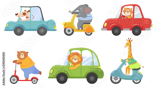 Cute animals on transport. Animal on scooter, driving car and zoo travel. Dog, elephant and tiger transportation vehicle drivers character. Cartoon isolated vector illustration icons set