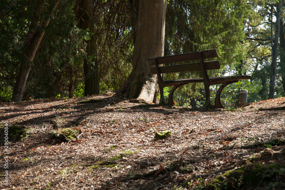 Panchine al parco in autunno Panchine al parco in autunno