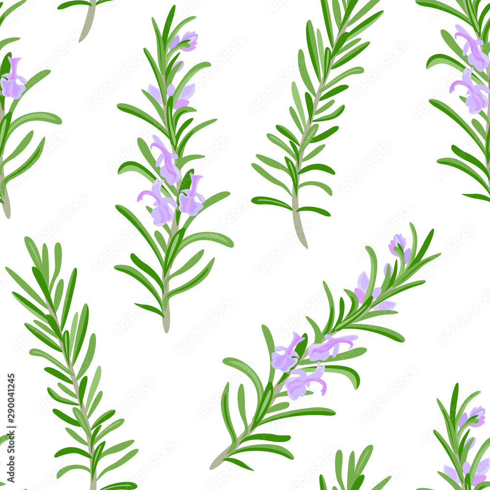 Obraz premium Rosemary seamless pattern. Green branches of fragrant rosemary plant with purple flowers on white background. Vector illustration of aromatic herbs, spicy seasoning in cartoon simple flat style.