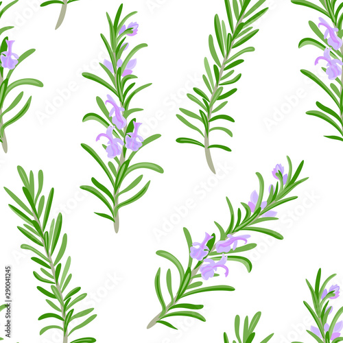 Rosemary seamless pattern. Green branches of fragrant rosemary plant with purple flowers on white background. Vector illustration of aromatic herbs, spicy seasoning in cartoon simple flat style.