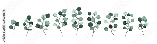 Silver dollar eucalyptus greenery leaves floral branches vector illustration in watercolor style. Hand drawn mint green foliage plant rustic botanical for wedding invitation card save the date design