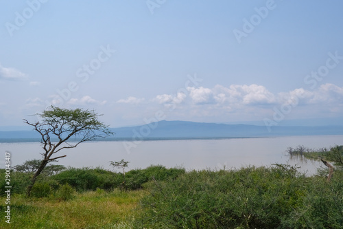 Isola nel lago Baringo in Kenya