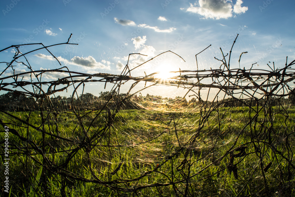 barbed wire on background of blue sky barbed wire on background of blue sky