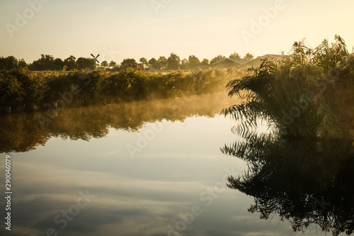 Fototapeta Naklejka Na Ścianę i Meble -  Nature reserve at dawn