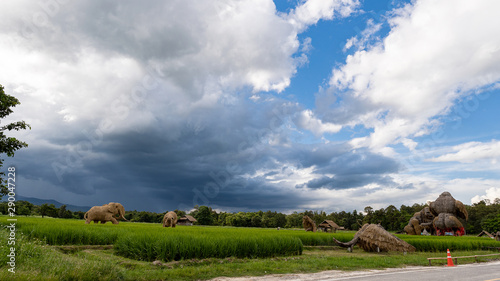 In the rice fields with elephants made of straw and beautiful natural skies. Huai Tung Tao, Chiang Mai, Thailand