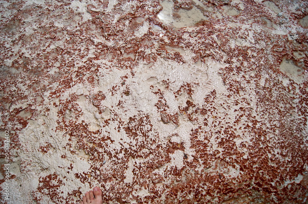 Fototapeta premium Pamukkale pools trampled by tourists, dried up and changed color from white, Turkey
