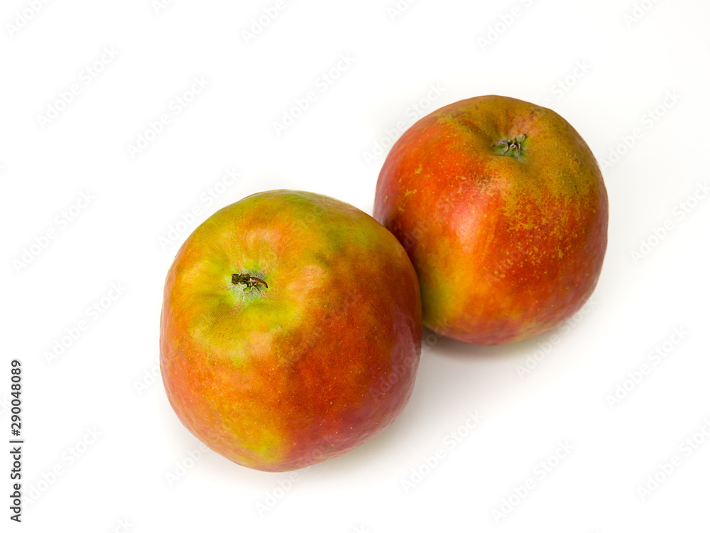 Close-up of two apples named Holsteiner Cox, isolated on white. Close-up of two apples named Holsteiner Cox, isolated on white.
