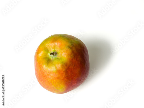 Tablou pe pânză Close-up of one apple named Holsteiner Cox, isolated on white wi