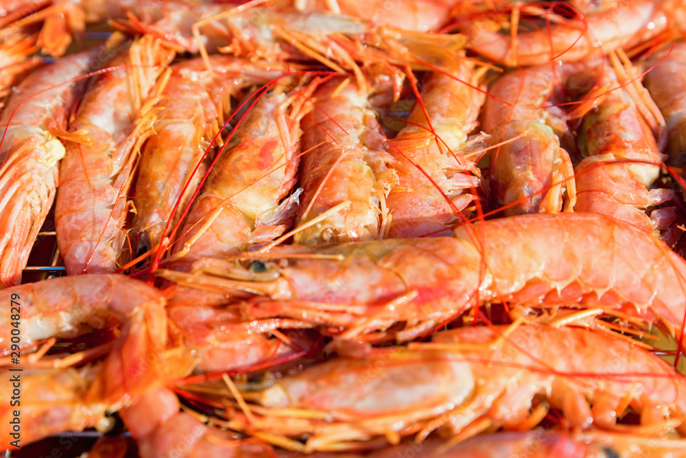 Fresh raw langoustines close up as a background