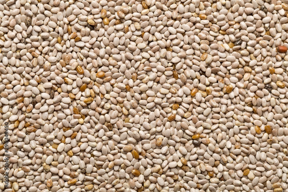 Whole, organic white chia seeds texture top view from above Whole, organic white chia seeds texture top view from above