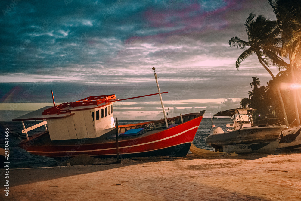 Fototapeta premium wallpaper