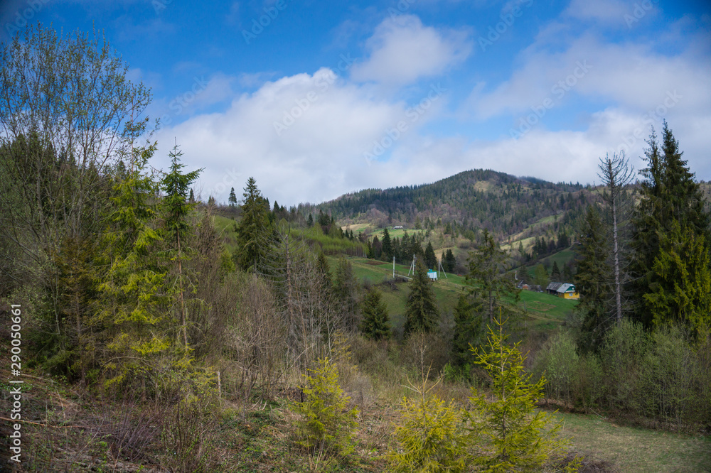 Fototapeta premium Mountain trip, cable car ride with mountain and forest view.
