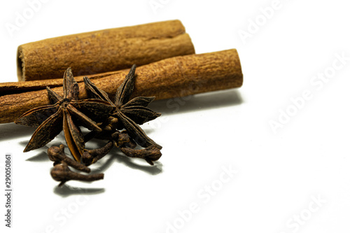 spices cinnamon, clove, and star anise in white background with copy space