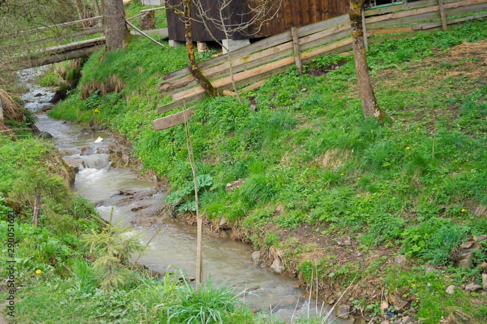 Obraz premium A small stream with trees in spring, deep in the forest