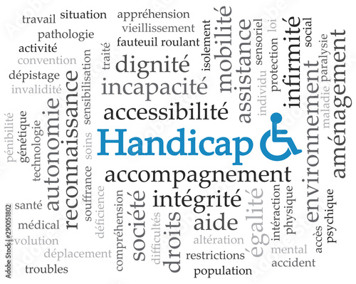 Logo handicap.