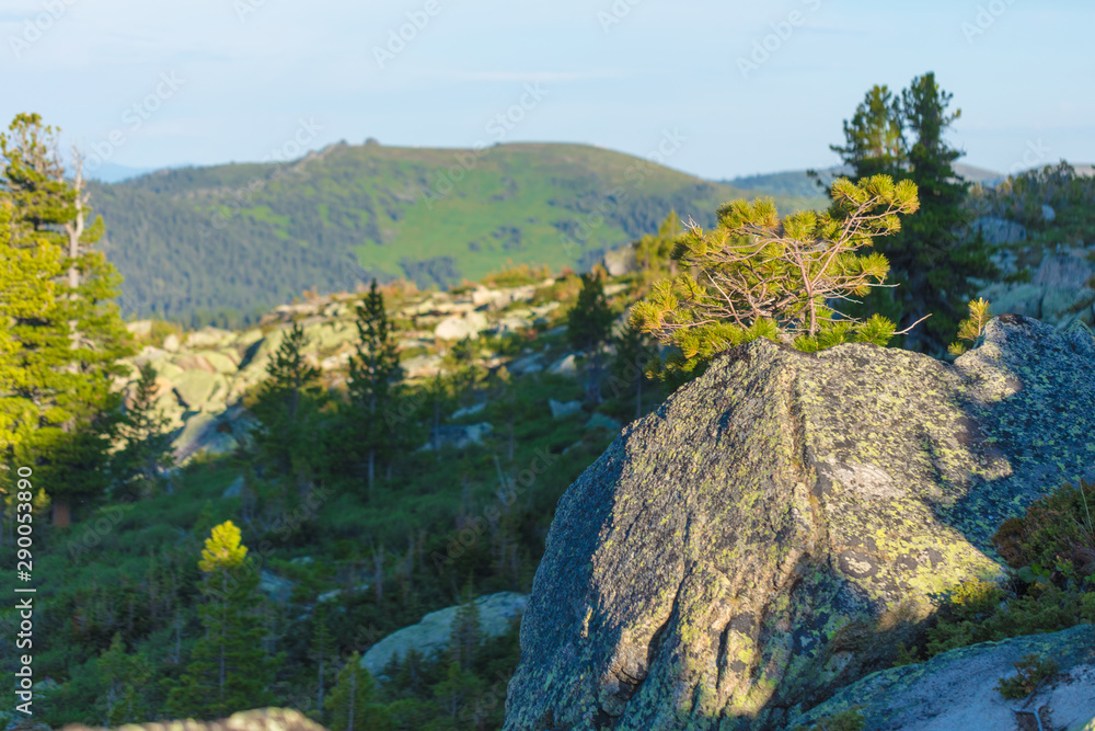 Very beautiful mountain landscape. A panoramic view from the mountain pass in Siberia Very beautiful mountain landscape. A panoramic view from the mountain pass in Siberia