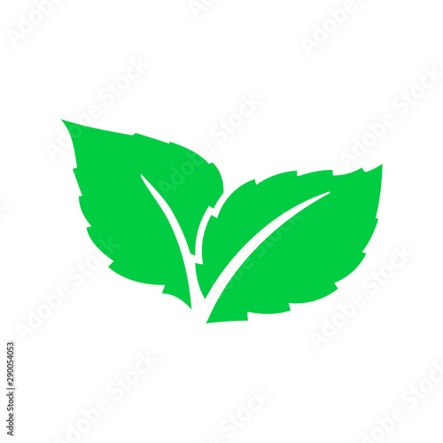 Eco green color leaf vector logo flat icon. Bio plant and tree floral forest concept design. Leaves icon.