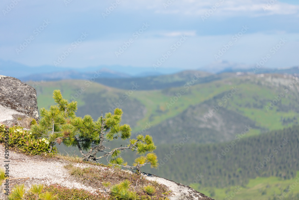 Very beautiful mountain landscape. A panoramic view from the mountain pass in Siberia