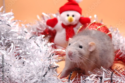 A rat-a Symbol of The new year 2020-next to a toy snowman among tinsel