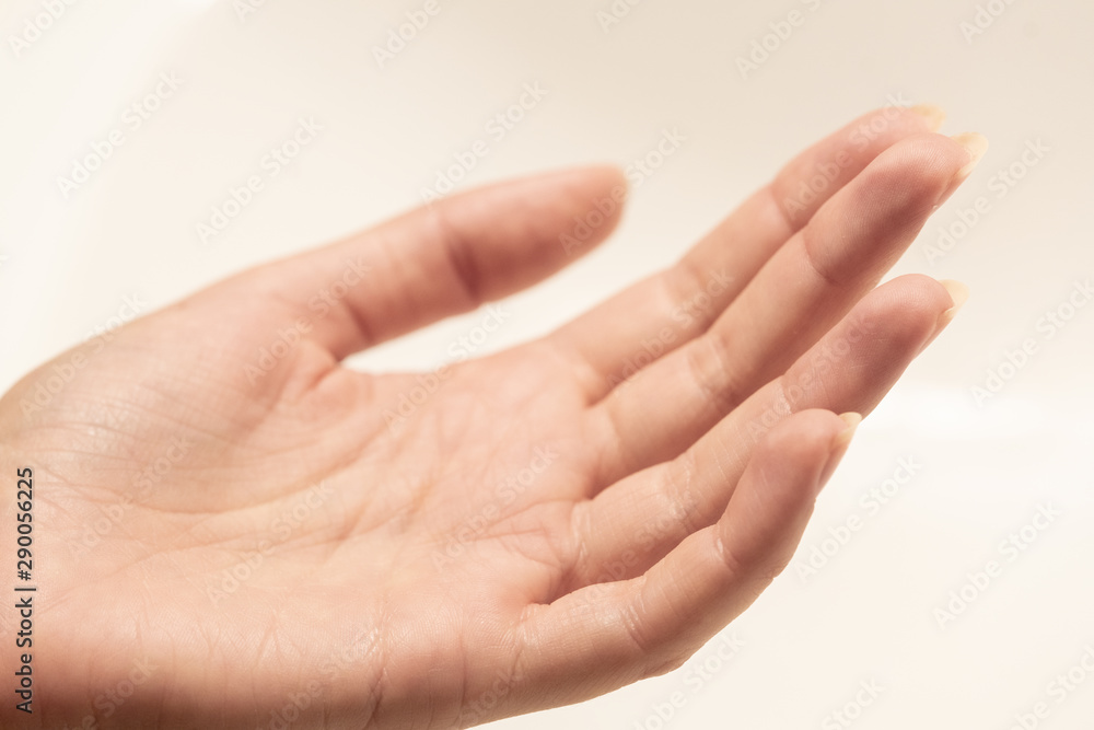 hand palm close up hand palm close up
