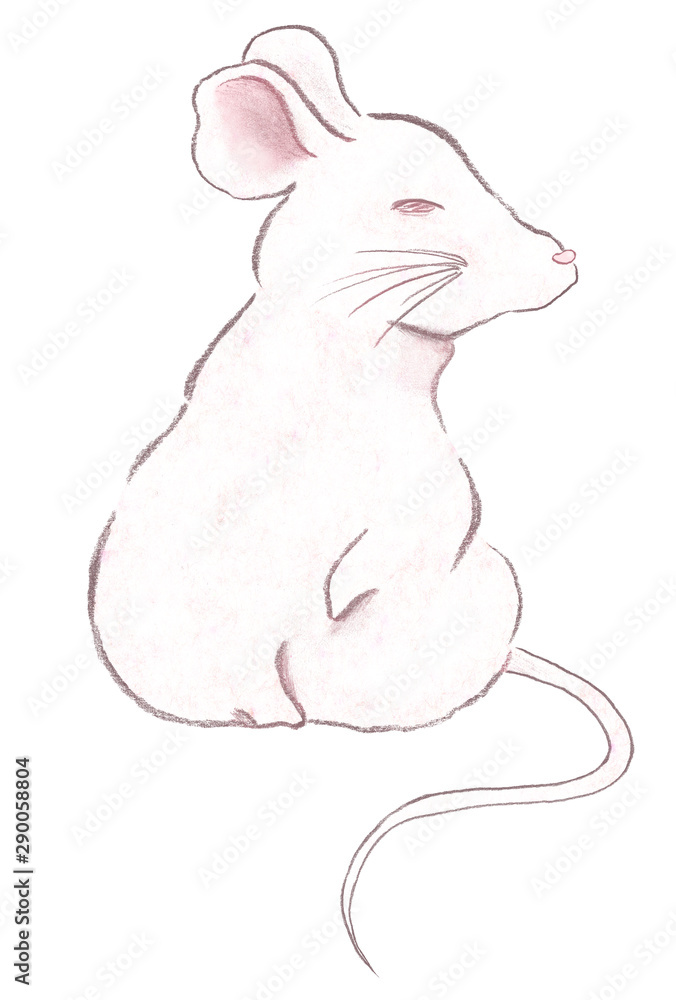 ネズミの横顔