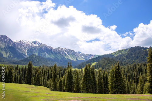 Hills covered with coniferous forest against the backdrop of a mountain range with snow-capped peaks and a cloudy sky. Kyrgyzstan © Emma
