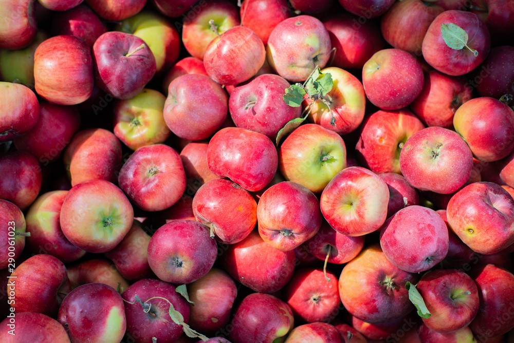 red apples in the market red apples in the market